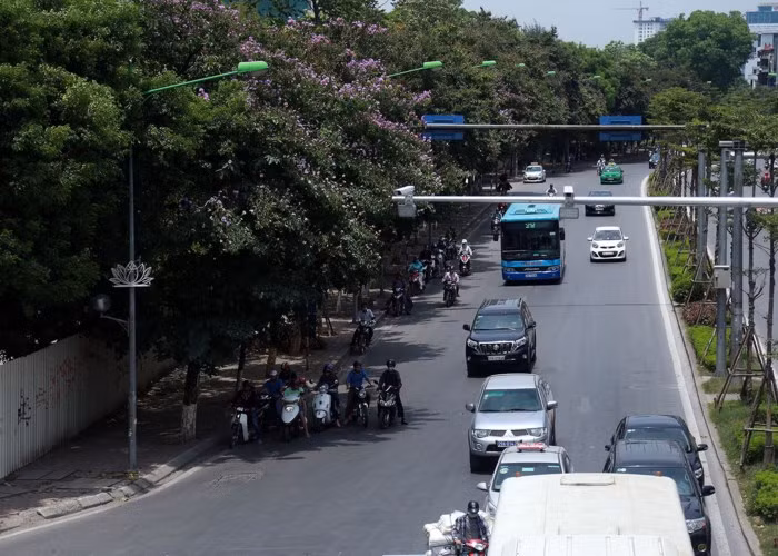 Những hàng cây tạo bóng râm như trên đường Kim Mã ngày càng thiếu hụt tại Hà Nội.