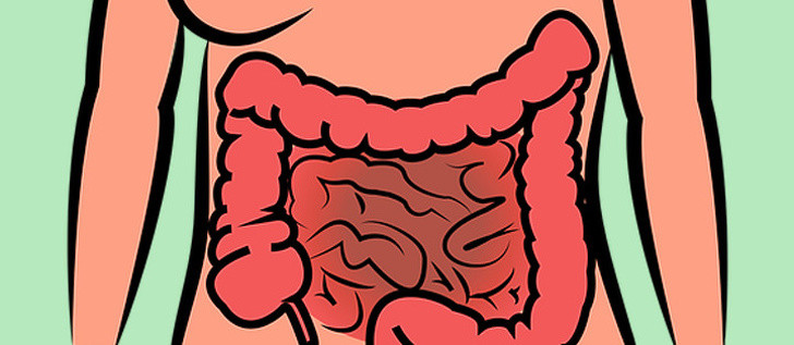 Cần tây còn giàu chất xơ và chất phytochemical tự nhiên kích thích thành dạ dày và ruột non, ngăn ngừa táo bón bằng cách hỗ trợ nhu động ruột, tốt cho quá trình tiêu hóa.