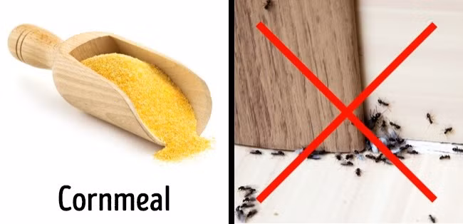 Ảnh: Depositphotos.