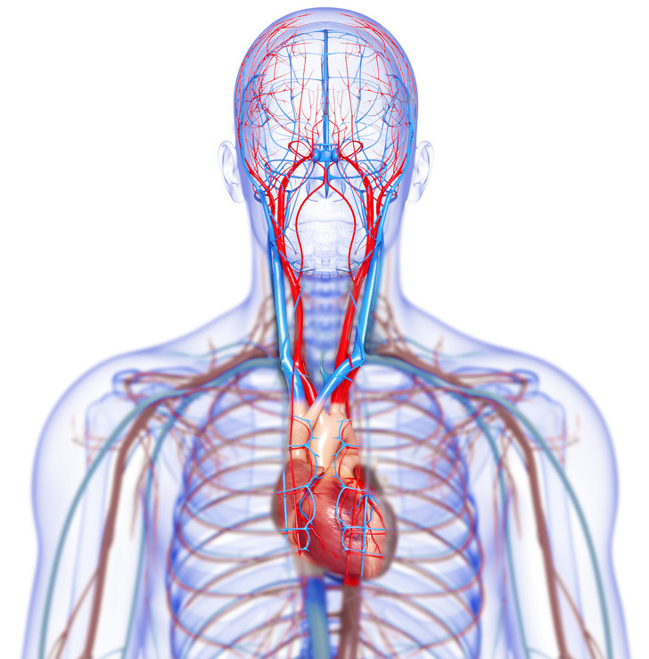 3. Hơi thở hôi: Viêm nướu hoặc viêm nha chu, có thể dẫn đến hơi thở hôi. Thực tế, vi khuẩn từ nướu bị viêm có thể xâm nhập vào hệ tim mạch và bắt đầu viêm ở một nơi mới. Nguy cơ mắc bệnh tim ở những người bị viêm nha chu cao hơn 20%.