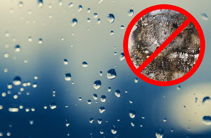 Cần chú ý độ ẩm không khí bởi nó ảnh hưởng rất lớn đến sự phát triển của nấm mốc. Chỉ số tối ưu cho độ ẩm không khí là 40-50%. Ảnh: BS.