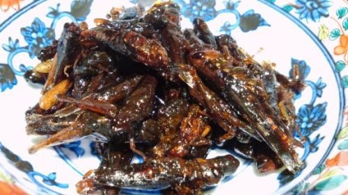 Món kỳ lạ ở Nhật phải kể đến là inago no Tsukudani – châu chấu luộc chín rồi hầm với nước sốt chế biến từ tương và cỏ biển.