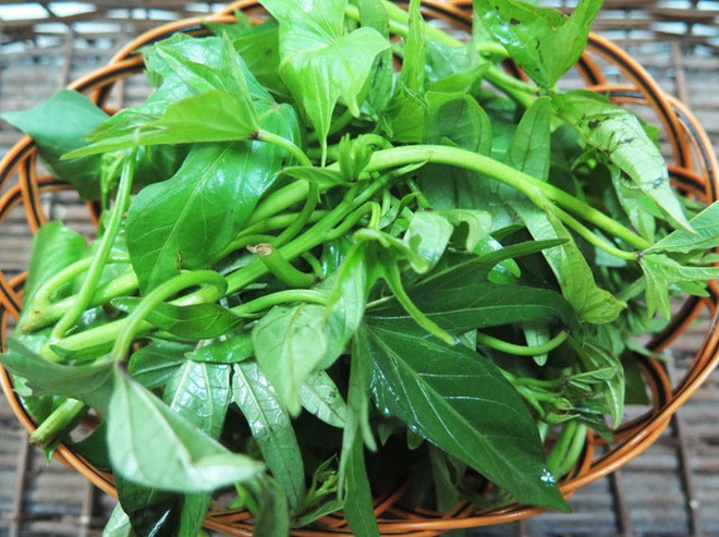  1. Rau lang Không chỉ là loại rau giúp sản phụ sau sinh trị táo bón, lợi sữa, rau lang còn giúp mẹ bầu dễ dàng sinh con. Khoảng 2 tuần cuối thai kỳ, mẹ bầu hãy tích cực ăn rau lang giúp tử cung mềm ra, dễ dàng co thắt, chuẩn bị cho công cuộc vượt cạn sắp tới. Chị em có thể ăn rau lang luộc, rau lang xào tỏi, rau lang xào cùng các thực phẩm bổ dưỡng khác như thịt bò, nấm rơm, tép… để thay đổi khẩu vị.