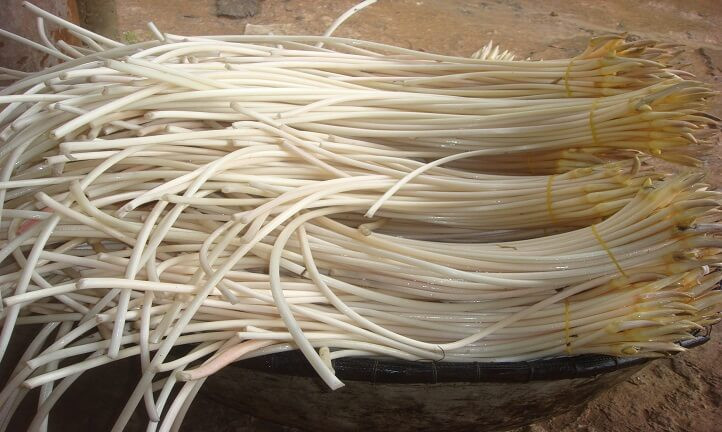 Cách làm: Ngó sen cắt khúc 3-4 cm, ngâm nước cốt chanh để ngó sen trắng, sau đó vớt để ráo. Thịt bò ướp với tỏi băm và dầu hào, bột nêm trộn cho đều.