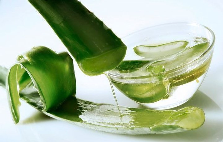 3. Aloe Vera – Lô hội: Aloe Vera có các enzyme thúc đẩy sự phát triển của mái tóc. Thêm vào đó, gel có thể làm ẩm tóc của bạn để giữ cho nó thẳng. Tóc khô có nhiều khả năng bị xoăn cứng hơn. Home Remedy Shop chỉ ra rằng bạn có thể giúp tóc của bạn thẳng hơn bằng cách kết hợp 120 ml dầu ấm và gel lô hội. Rửa sạch sau 30 phút và tóc của bạn sẽ thẳng.