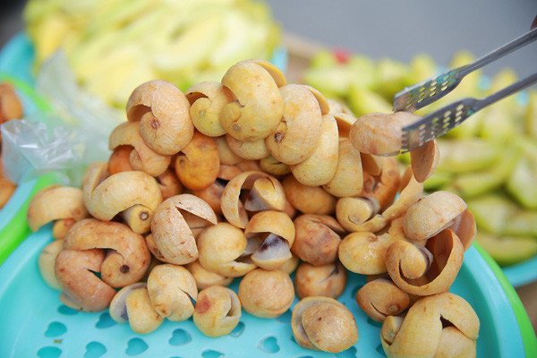 Quả sấu chín vàng đã không còn vị chua gắt như những quả sấu còn xanh mà thay vào đó là một vị chua dịu.