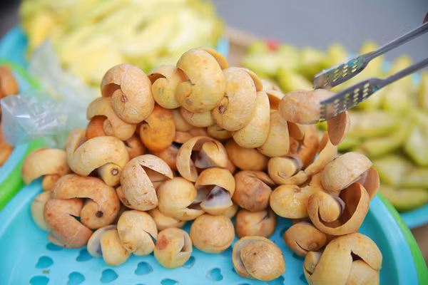 Quả sấu chín vàng đã không còn vị chua gắt như những quả sấu còn xanh mà thay vào đó là một vị chua dịu.