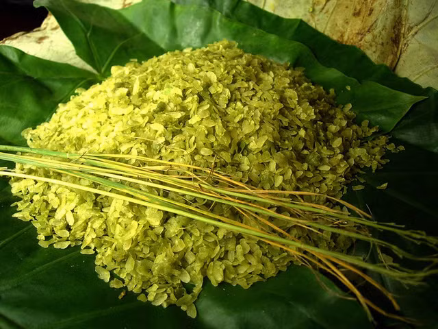 Đến Thủ đô vào dịp mùng 2/9 đầu thu, bạn không thể bỏ qua món ngon Hà Nội nức tiếng này.