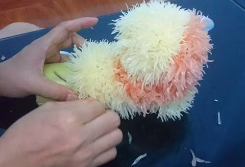 Cach lam cho buoi sieu de thuong cho mam co Tet Trung thu-Hinh-5