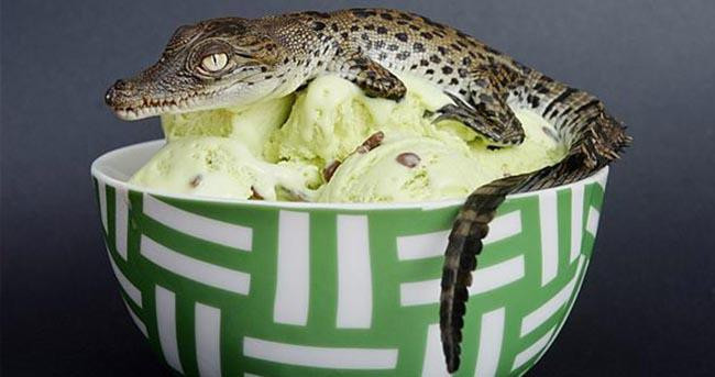 Kem trứng cá sấu, Philippines: Nhà hàng Sweet Spot ở thành phố Davao đã sáng tạo ra công thức làm kem với trứng cá sấu lấy từ trại nuôi gần đó. Loại trứng này có tới 80% là lòng đỏ và có nhiều dinh dưỡng hơn so với trứng gà.