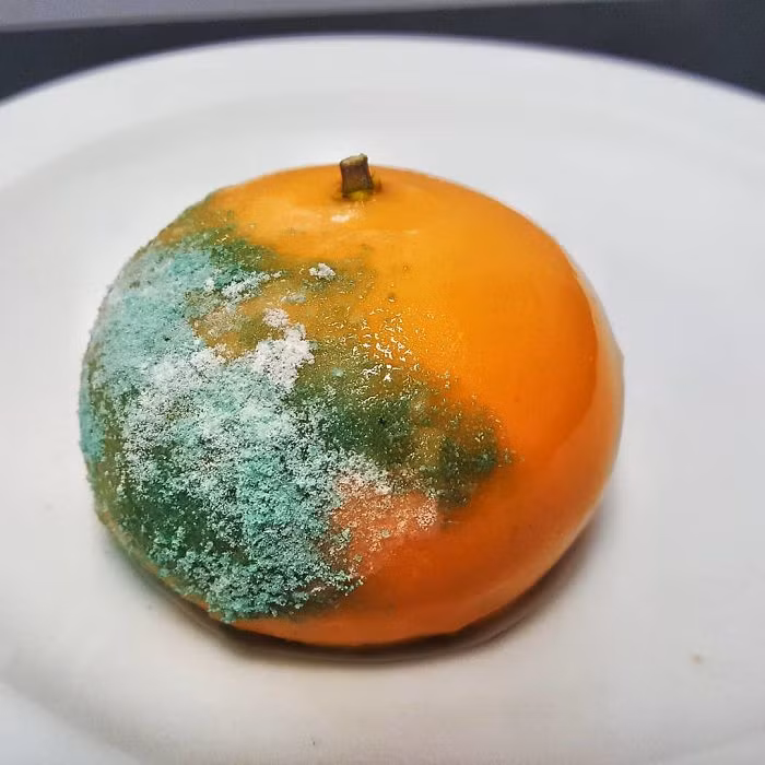 Thoạt nhìn, bạn sẽ tưởng đây là quả cam hỏng nhưng đây chính là món bánh tráng miệng ngon lành.