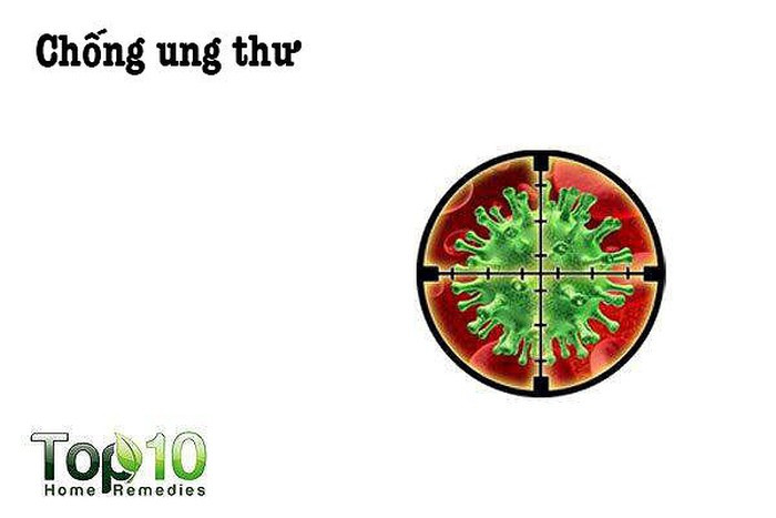 Ngăn ngừa ung thư: Các hợp chất phenolic và flavonoid trong hạt đu đủ có đặc tính chống oxy hóa cao giúp làm chậm sự tăng trưởng của các tế bào khối u. Các chất dinh dưỡng thực vật isothiocyanate trong hạt đu đủ, giúp ức chế tế bào ung thư hiệu quả.