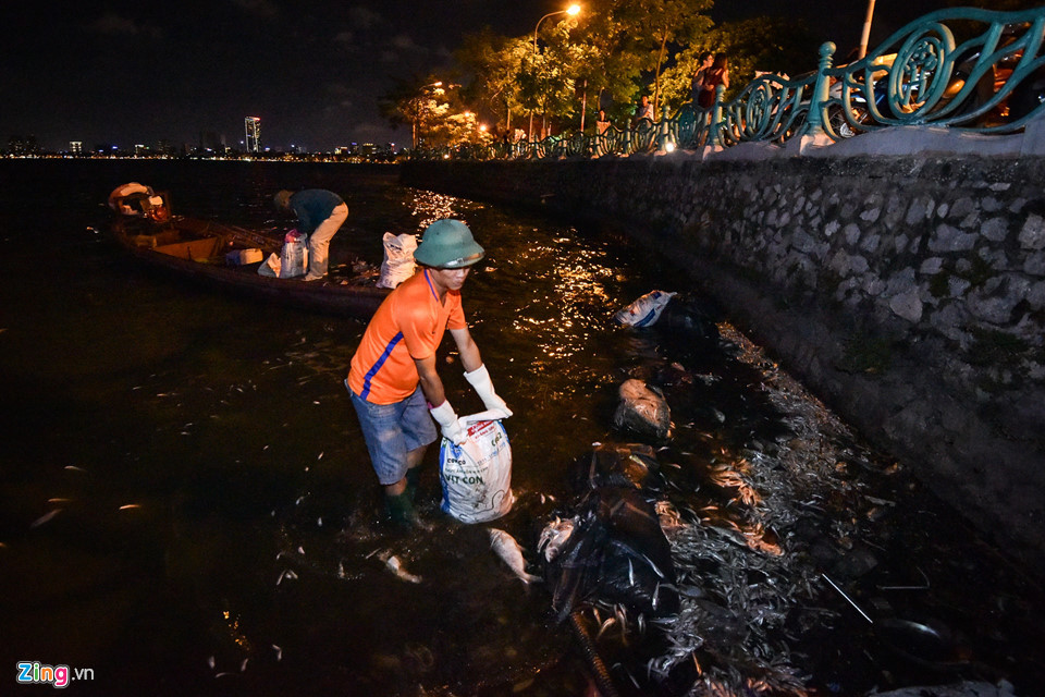 Nguyên nhân được cho là thời tiết thay đổi bất thường. Sau đợt nắng nóng gay gắt kéo dài, chiều 7/7, trời bắt đầu có mưa dông khiến cá trong hồ ngạt khí chết.