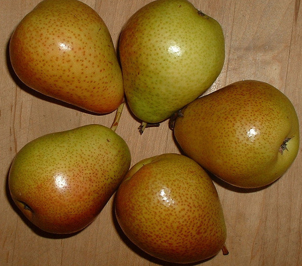 Quả lê giàu vitamin C, chất xơ, vitamin K và đồng. Các vitamin trong quả lê giúp hệ thống miễn dịch chống lại nhiễm trùng, hỗ trợ tiêu hóa, giảm cholesterol...