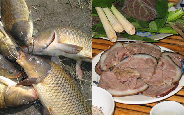 Kiêng ăn cùng cá chép: Cá chép tính vị cam có tác dụng hạ thủy khí. Còn thịt chó tính cam ôn có công năng sinh thủy khí và thấp nhiệt. Nếu ăn lẫn dễ sinh chứng hàn, nhiệt và kiết lỵ.