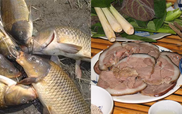 Kiêng ăn cùng cá chép: Cá chép tính vị cam có tác dụng hạ thủy khí. Còn thịt chó tính cam ôn có công năng sinh thủy khí và thấp nhiệt. Nếu ăn lẫn dễ sinh chứng hàn, nhiệt và kiết lỵ.