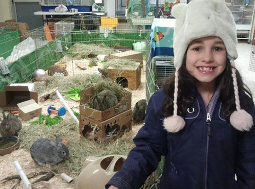 Kiana là một cô bé yêu động vật và bé đã bán tất cả thú nhồi bông của mình để giúp đỡ các con vật lạc chủ.