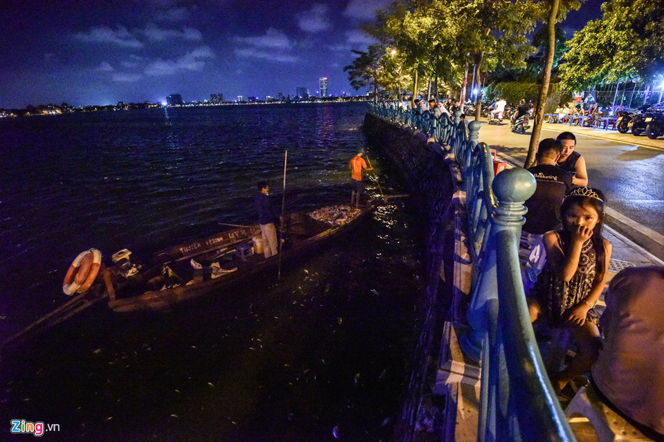 Trong thời tiết thất thường, cá nhanh chóng phân hủy, bốc mùi hôi thối. Người dân uống nước hóng gió ven hồ (đoạn hai con rồng hồ Tây) nhăn mặt vì mùi nồng nặc.