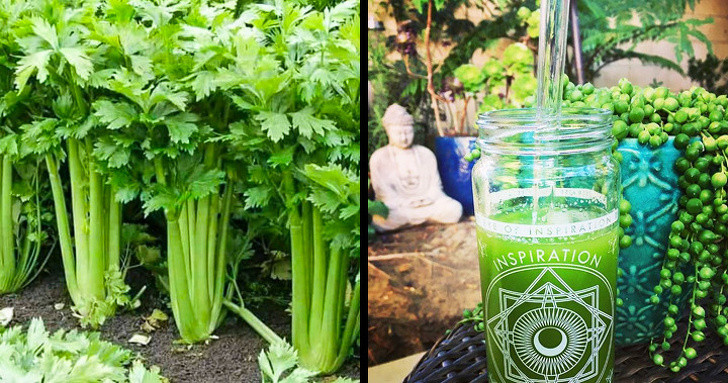 Những đồ ăn, thức uống giúp giảm tình trạng phù nề - Hình 4 Nhung do an, thuc uong giup giam tinh trang phu ne-Hinh-4