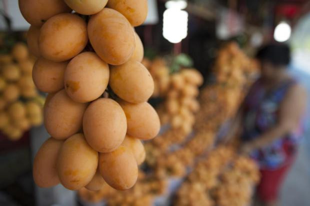 Giá của quả plango có thể dao động từ 80 – 150 baht/kg (tương đương 55.000 – 105.000 đồng) tùy theo mùa vụ. Ảnh: Traveling Chili.