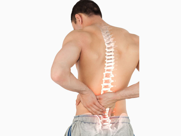 Chế độ ăn giàu protein, bao gồm việc ăn thịt, gây ra sự mất cân bằng mật độ xương ở phụ nữ từ 65 tuổi trở lên, có thể gây loãng xương.