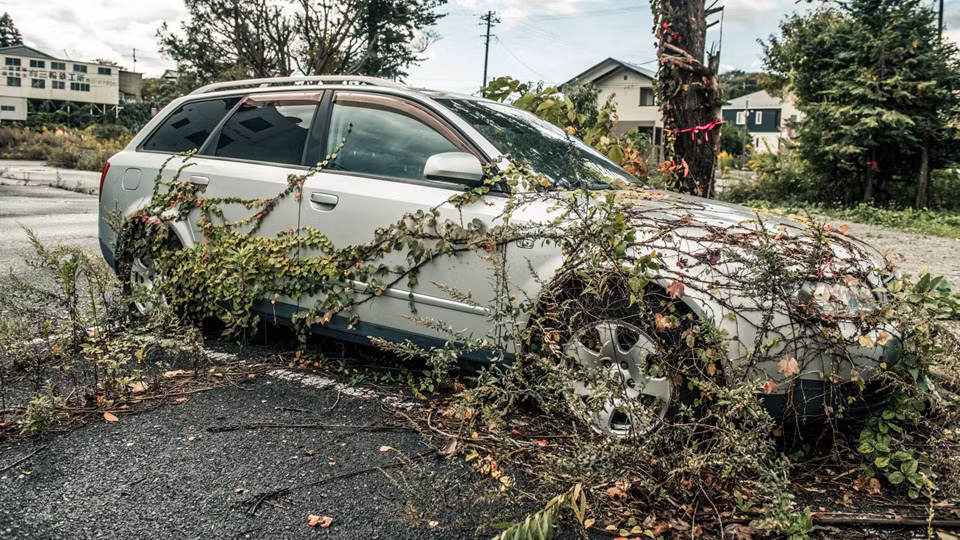 Điểm dừng chân đầu tiên là casino Grand Hall ở Tomioka. Cách đó không xa là một chiếc Audi A4 Avant bị bỏ lại từ năm 2011, cỏ dại đã phủ gần hết thân xe. Đây là hình ảnh rõ nét cho thấy mạng sống của con người quý giá hơn tất cả mọi thứ, kể cả một chiếc xe hạng sang.