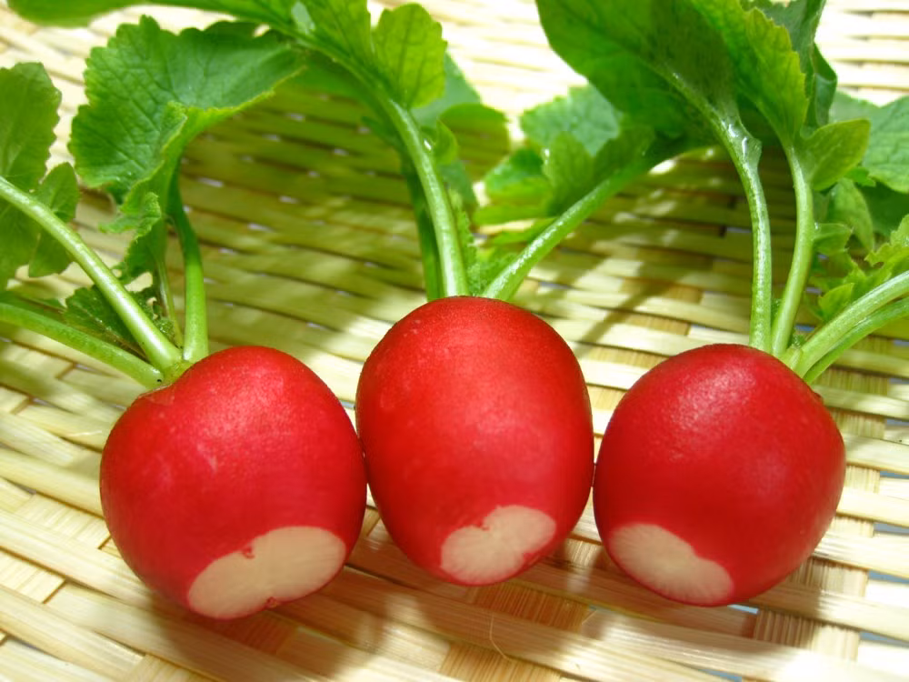 Củ cải đỏ là thực phẩm tuyệt vời với những người cần phải bổ sung phytoestrogen nhưng vẫn muốn duy trì chế độ ăn kiêng.