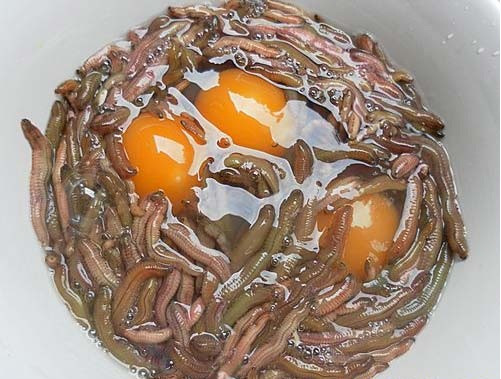 Rươi Tứ Kỳ: Mùa rươi ở Tứ Kỳ, Hải Dương, bắt đầu vào tháng 8 âm lịch, rươi có thể được chế biến thành nhiều món ngon nhưng chả rươi là món được hầu hết mọi người yêu thích. Miếng chả rươi thơm lừng đầy đủ vị chua cay mặn ngọt, có thể “đánh gục” những người có khẩu vị khó tính nhất. Ảnh: Internet.