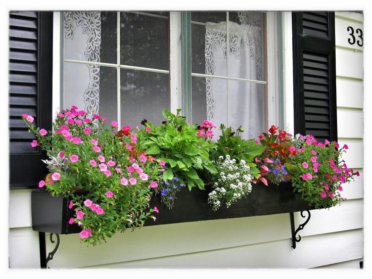 Du lich cung co quan, cau noi dua cua sep tiet lo chong dang ngoai tinh