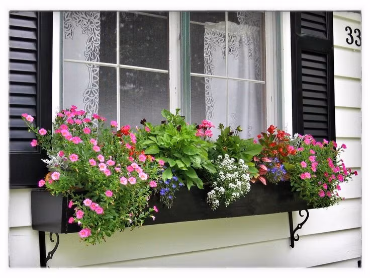 Du lich cung co quan, cau noi dua cua sep tiet lo chong dang ngoai tinh