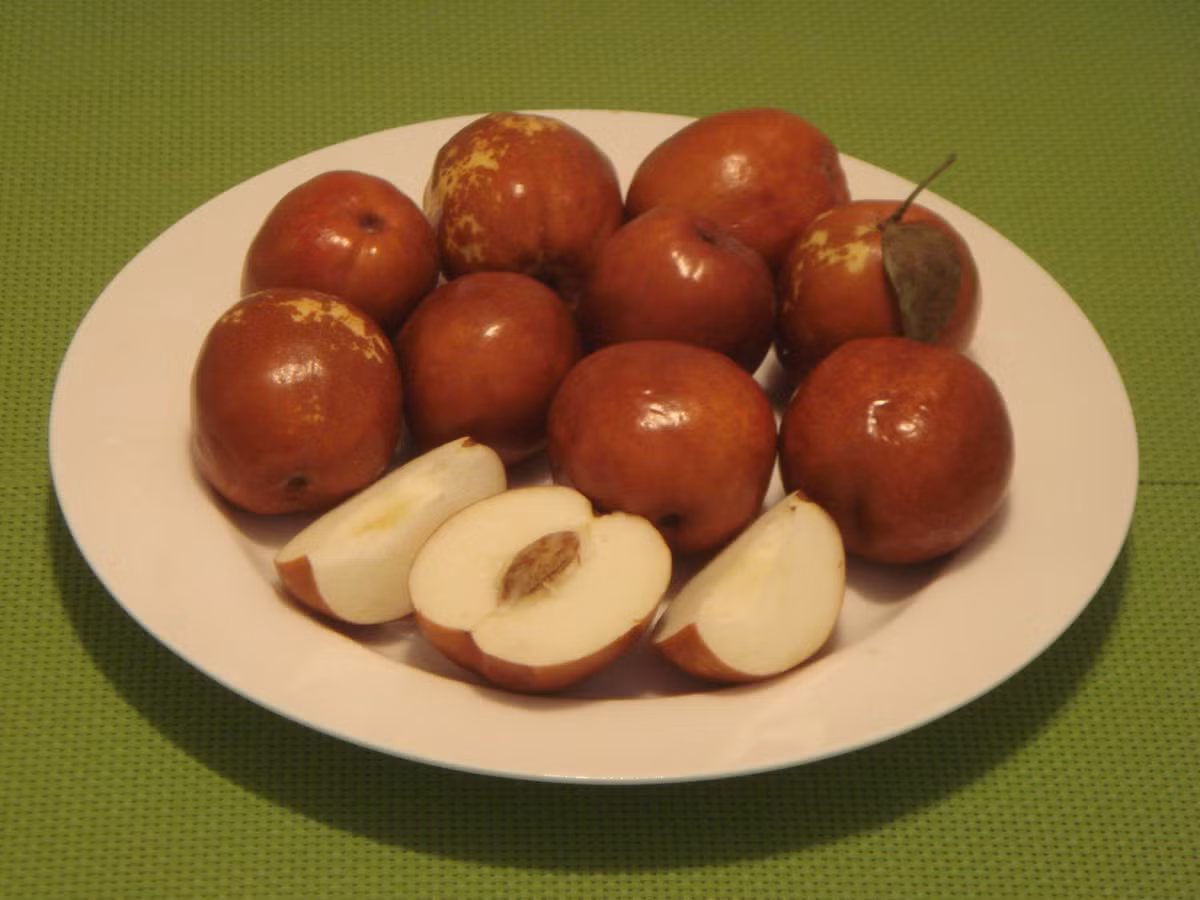 Việc sử dụng táo tàu có thể giúp giảm bớt chứng đau nhức cơ và đau khớp.