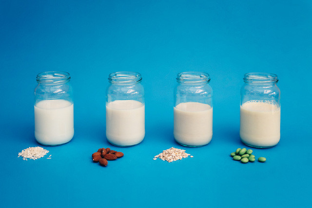 Đối với người ăn chay, sữa các loại hạt như sữa hạnh nhân, sữa đậu nành... cũng là thực phẩm cần thiết cung cấp protein. Hàm lượng protein trong loại sữa này rất cao.