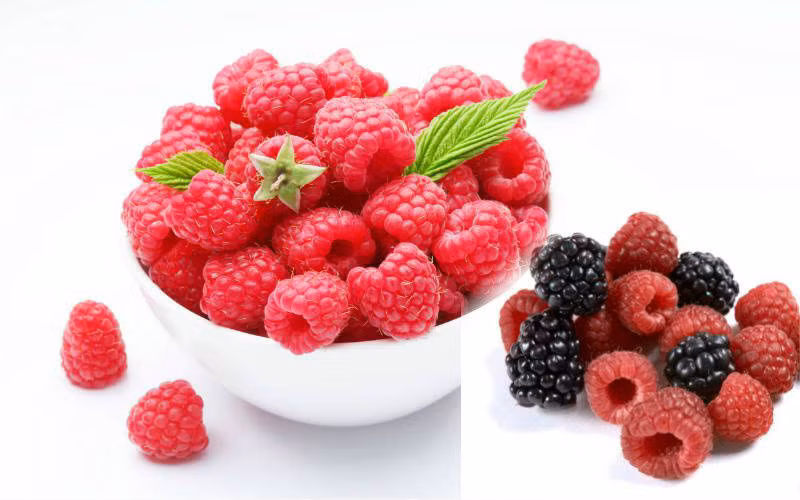 Lợi ích của quả mâm xôi là ngăn ngừa thiệt hại cho màng tế bào, củng cố hệ thống miễn dịch và hỗ trợ tiêu hoá. Axit ellagic, một chất chống oxy hóa phenol tự nhiên có trong quả mâm xôi giúp chống viêm ở vùng dạ dày và ruột.