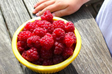 Sự kết hợp của chất chống oxy hóa như Vitamin C, Vitamin A và phenol trong quả mâm xôi giúp tránh khỏi bệnh tật và bảo vệ các màng của mắt sản xuất thủy dịch, do đó làm sạch và bảo vệ mắt khỏi bị khô. Axit ellagic trong quả này cũng giúp duy trì thị lực khỏe mạnh.