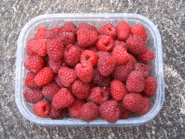 Quả mâm xôi là một món tráng miệng thích hợp cho bệnh nhân đái tháo đường bởi hàm lượng đường thấp. Ảnh: Internet.