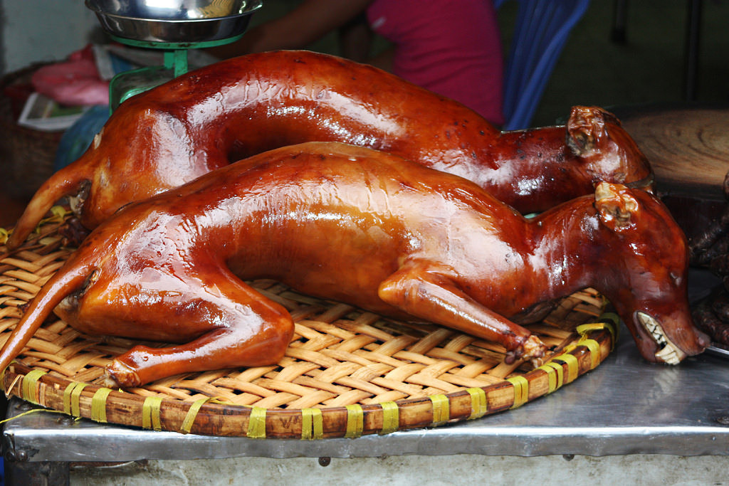 Thịt chó, thịt mèo vốn được nhiều người Việt yêu thích, tuy nhiên đây lại là món ăn đáng sợ đối với du khách nước ngoài bởi chó mèo là thú cưng thân thiết đối với họ.