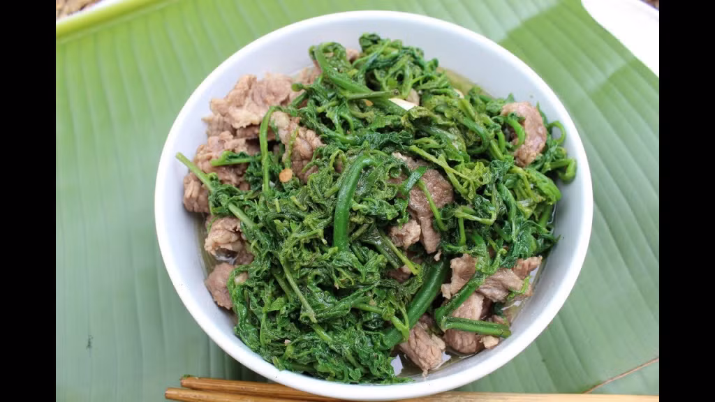 Khi thu hái, người ta lấy lá non, ngọn non dùng luộc, nấu canh, xào thịt, làm nộm cũng có thể dùng ăn sống. Còn thân thì được phơi khô sắc lấy nước uống để giảm đau. Ngoài ra, loại cây này được xem là cây thuốc quý được dùng để chữa thận hư, tiêu chảy, bong gân, tụ máu sai khớp, phong thấp, cầm máu...