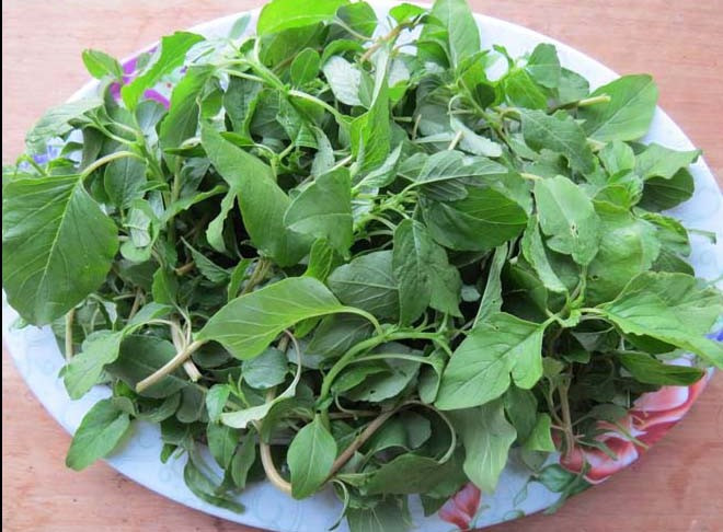 Mỗi ngày dùng 200 đến 500g rau dền luộc ăn và uống cả nước giúp thông tiểu, nhuận trường, chữa táo bón, kiết lỵ, dị ứng, mẩn ngứa, côn trùng đốt. Sử dụng hoa và hạt rau dền có tác dụng chữa phong nhiệt, mắt mờ.