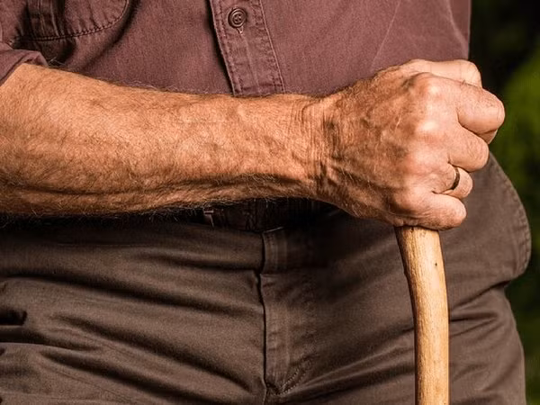 Canxi trong đỗ cô ve ngăn ngừa sự suy thoái xương và chứng loãng xương.