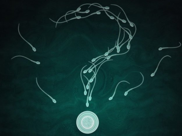 Tinh binh là những kẻ rất lạnh lùng: 13 độ C chính là nhiệt độ thích hợp nhất để tinh binh phát triển khỏe mạnh trong cơ thể một người đàn ông. Chính vì vậy, tinh hoàn luôn có nhiệt độ thấp hơn các bộ phận khác của cơ thể.