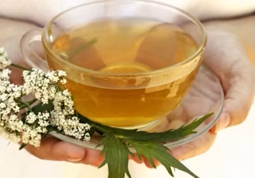 Trà cây nữ lang (Valeriana officinalis) có tác dụng an thần và khả năng chống lo lắng. Nó chứa một chất linarin, tạo ra hiệu ứng an thần trên cơ thể.