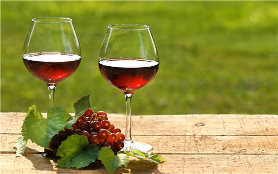 Các nhà khoa học Hà Lan đã khẳng định, resveratrol có trong rượu vang đỏ, trắng rất tốt cho phổi. Một nghiên cứu khác đã chỉ ra rằng uống rượu vang điều độ giảm một nửa nguy cơ của bệnh gan nhiễm mỡ. Ảnh: Shutterstock, Internet.