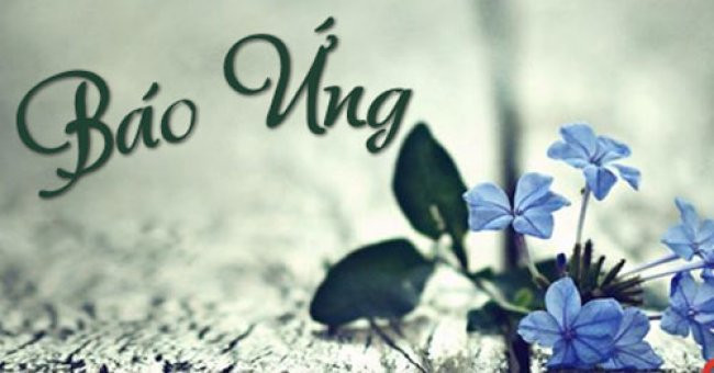 10 toi ac se phai nhan qua bao ghe so nhat-Hinh-2