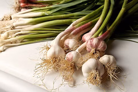 5. Tỏi tươi là một trong thực phẩm giúp chị em giữ được vóc dáng cân đối nhờ nó chứa chất allicin giúp bạn kiểm soát cơn thèm ăn bằng cách kích thích cảm giác no trong não.