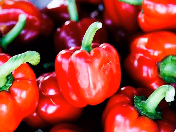 Ớt chuông đỏ cũng giàu chứa vitamin C cùng các vitamin và khoáng chất khác.
