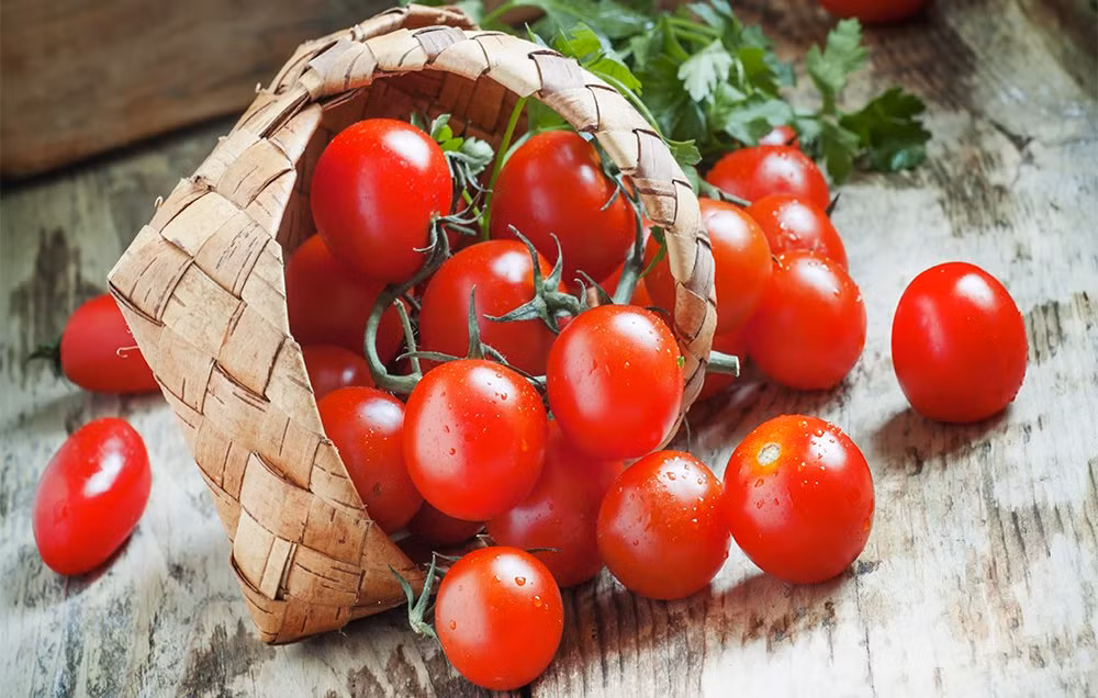 Thay vì bôi kem chống nắng thường xuyến, bạn có thể ăn cà chua hằng ngày. Trong cà chua chứa chất chống oxy hóa được gọi là lycopene. Chất này ngăn cản các tia UV xâm nhập vào da của chúng ta.