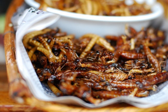 Chuồn chuồn rán giòn: Ở Indonesia, chuồn chuồn rán giòn là món đặc sản thú vị. Chuồn chuồn được vặt cánh và rán giòn. Người ta mô tả món côn trùng này có vị béo ngậy và ngon miệng. Ảnh: Internet.