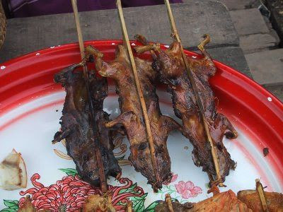 Những người đã được thưởng thức món thịt chuột đuôi trắng nấu mềm cảm thấy thú vị vì thịt chuột mềm và rất ngon. Tuy nhiên, nếu nhìn thấy những con chuột chưa chế biến trước khi ăn thì có lẽ ít ai dám nếm thử.