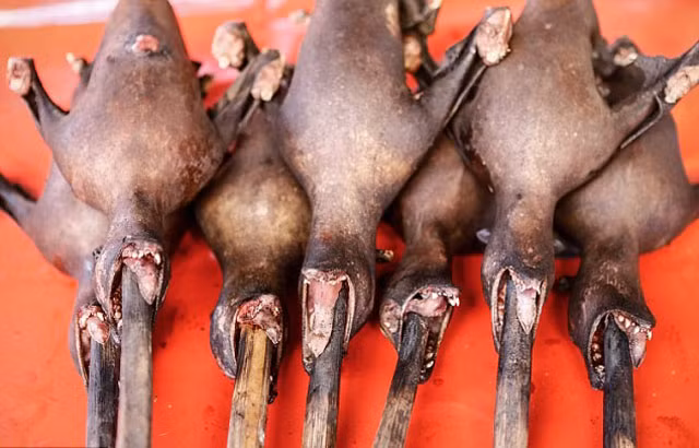 Thịt dơi: Ở Indonesia, thịt dơi là một món đặc sản nổi tiếng. Người ta thường để nguyên con dơi để chiên giòn hoặc hầm thành súp dơi.