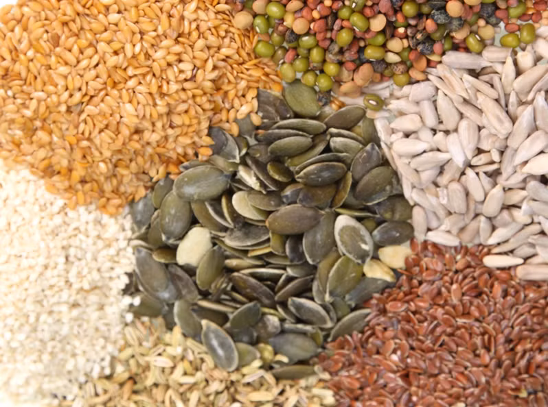 Có một số loại hạt như hạt lanh, hạt cây gai dầu và hạt chia là một bổ sung protein tuyệt vời bạn có thể thêm vào sữa chua, bột yến mạch và nước giải khát.